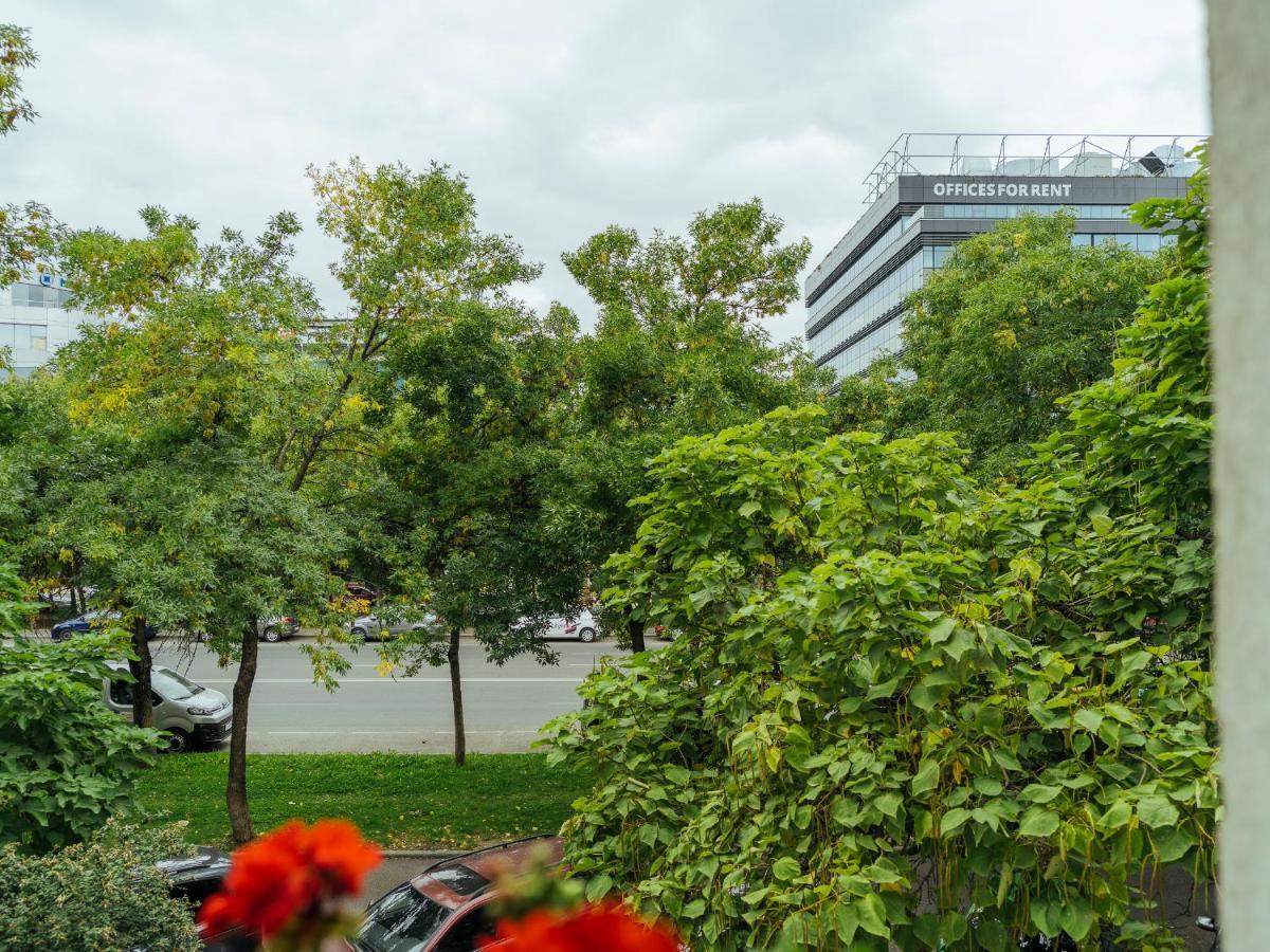 Herastrau Arancia Studio - Business District Leilighet Bucureşti Eksteriør bilde